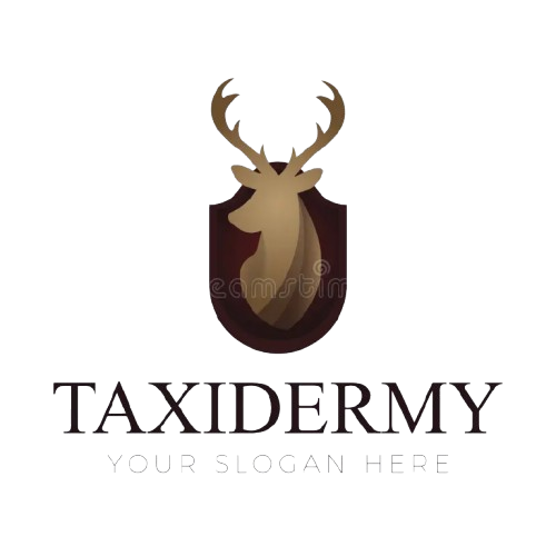 taxidermygalleries.com