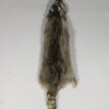 Taxidermy Raccoon for Sale