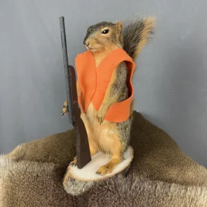 taxidermy squirrel for sale
