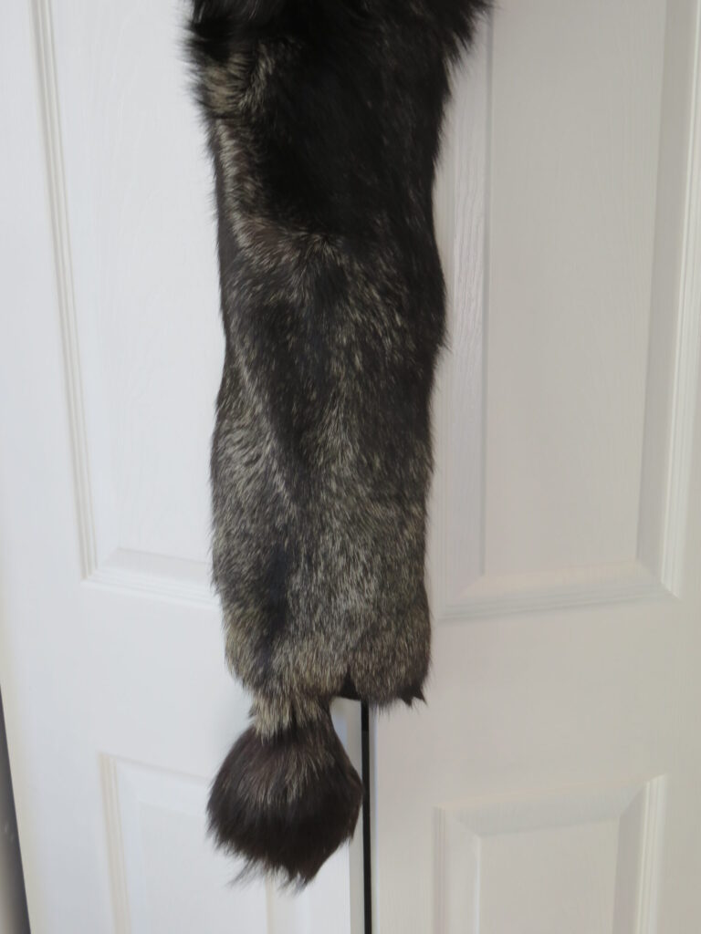 Taxidermy Fox for Sale