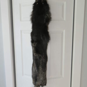 Taxidermy Fox for Sale